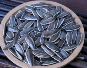 T6 sunflower seeds